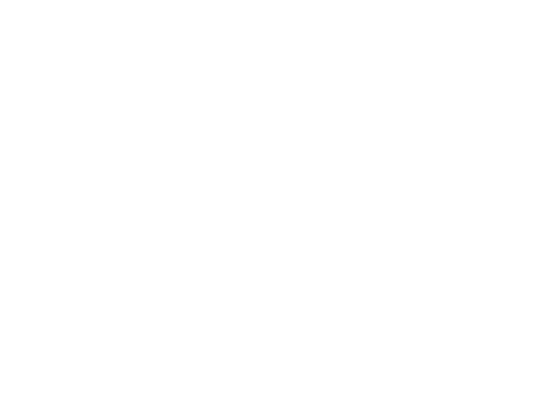 Caico Design